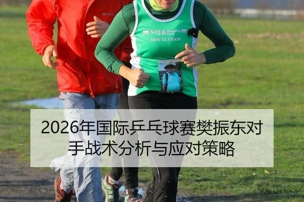 2026年国际乒乓球赛樊振东对手战术分析与应对策略