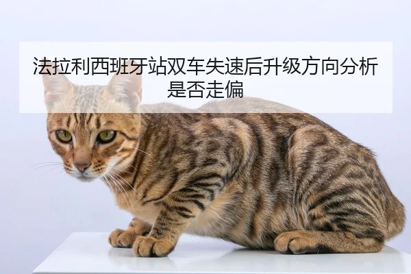 fa-la-li-xi-ban-ya-zhan-shuang-che-shi-su-hou-sheng-ji-fang-xiang-fen-xi-shi-fou-zou-pian-2-165.jpg