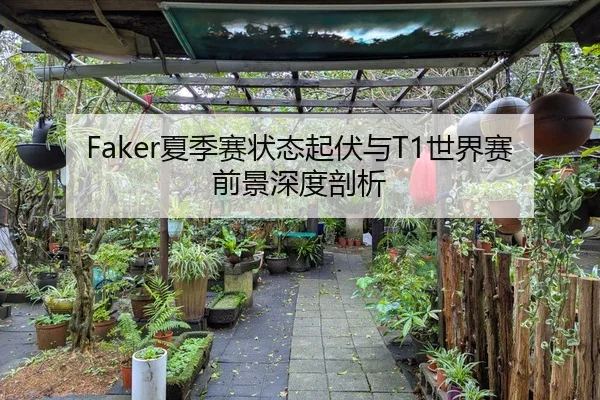 Faker夏季赛状态起伏与T1世界赛前景深度剖析