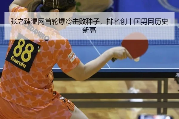 zhang-zhi-zhen-wen-wang-shou-lun-bao-leng-ji-bai-zhong-zi-pai-ming-chuang-zhong-guo-nan-wang-li-shi-xin-gao-2-628.jpg
