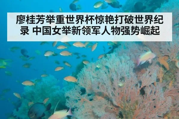 廖桂芳举重世界杯惊艳打破世界纪录 中国女举新领军人物强势崛起